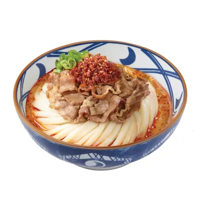 Spicy Niku Baitan Udon