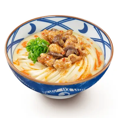 Spicy Tori Baitan Udon